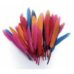 plumes d indien coloris assortis sachet 10g 15 cm