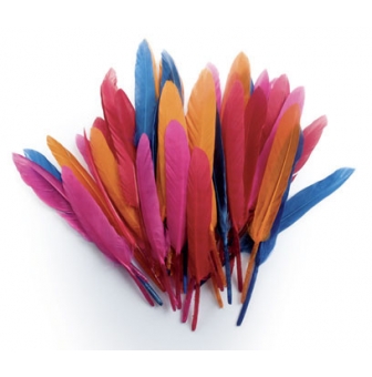 plumes d indien coloris assortis sachet 10g 15 cm