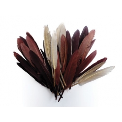 plumes d indien camaieu chocolat sachet 10g 15 cm