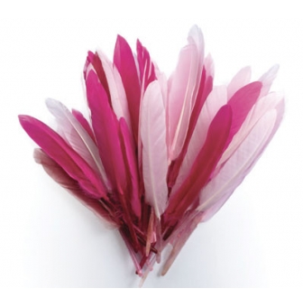 plumes d indien camaieu rose sachet 10g 15cm