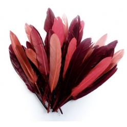 plumes d indien camaieu rouge sachet 10g 15 cm