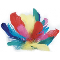 plumes coquille d oie coloris assortis 12g