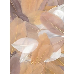 plumes coupees camaieu beige 10g 6 cm