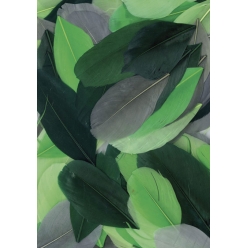 plumes coupees camaieu vert 10g 6 cm