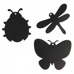 insectes a gratter 8 cm 6 pieces
