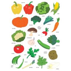 gommettes legumes de 25 a 5 cm 44 pieces
