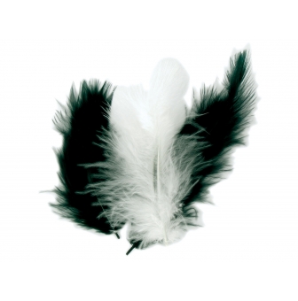 plumes assortiment noir blanc 10 cm 50 pieces