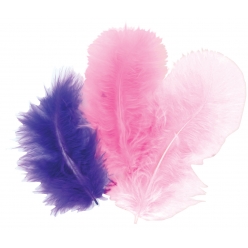 plumes assortiment violet 10 cm 50 pieces