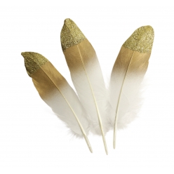 plumes a bout dore 4x19 cm 10 pieces