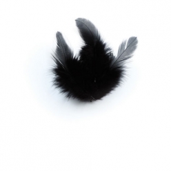 pume de coq noir 10cm 3g