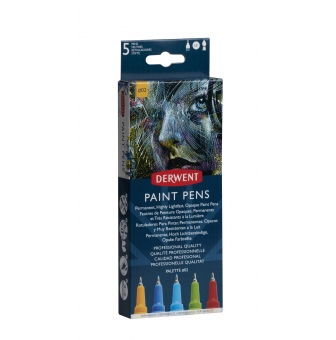 marqueurs peinture opaque derwent paint pen 5 palette n2