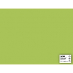cartons vert clair 50x65cm 170g 25 feuilles