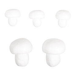 champignons en polystyrene assortis