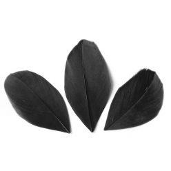 plumes coupees noir 6cm 3g