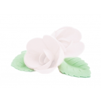 roses blanches et feuilles vertes azyme