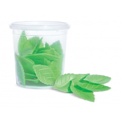 decos azyme 24 feuilles vertes