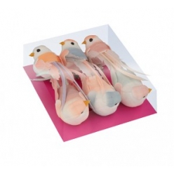 oiseaux couleur sur pince 12x35x3 cm 6 pieces