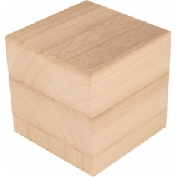 cube en bois 10x10x10 cm