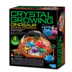 kit dam terrarium cristal dinosaure