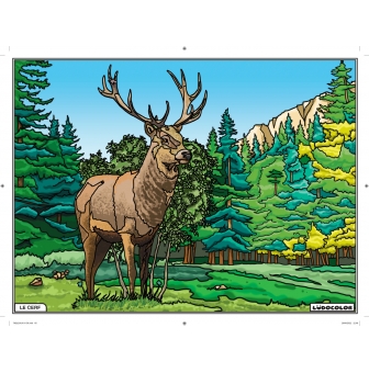 tableau velours a colorier le cerf