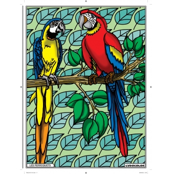 tableau velours a colorier les perroquets