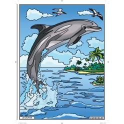 tableau velours a colorier le dauphin