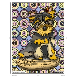 Tableau Velours à colorier Le Yorkshire Terrier