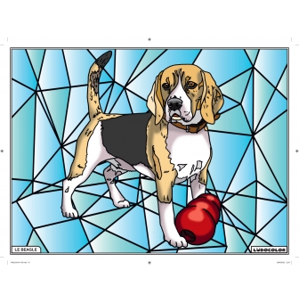 tableau velours a colorier le beagle
