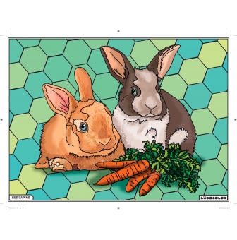 tableau velours a colorier les lapins