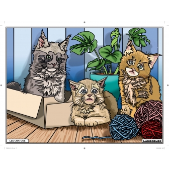 tableau velours a colorier les chatons