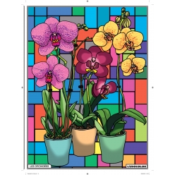 Tableau Velours à colorier Les Orchidées