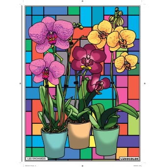 tableau velours a colorier les orchidees