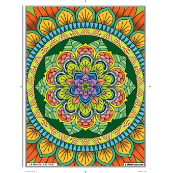 tableau velours a colorier mandala floral