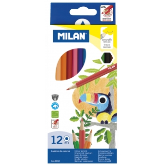 crayons de couleur hexagonaux 12 pieces
