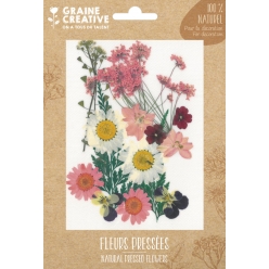 fleurs pressees prairie rose 16 pieces