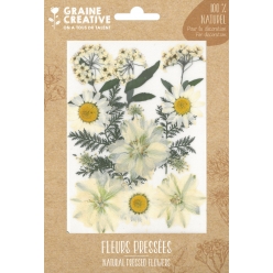 fleurs pressees prairie blanc 15 pieces