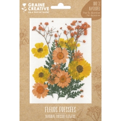 fleurs pressees prairie jaune 18 pieces