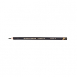 derwent  chromaflow  crayon de couleur extra tendre vert feuille