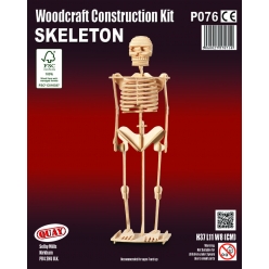 maquette en bois squelette