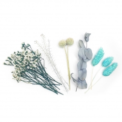 fleurs sechees coloris bleu 10 pieces